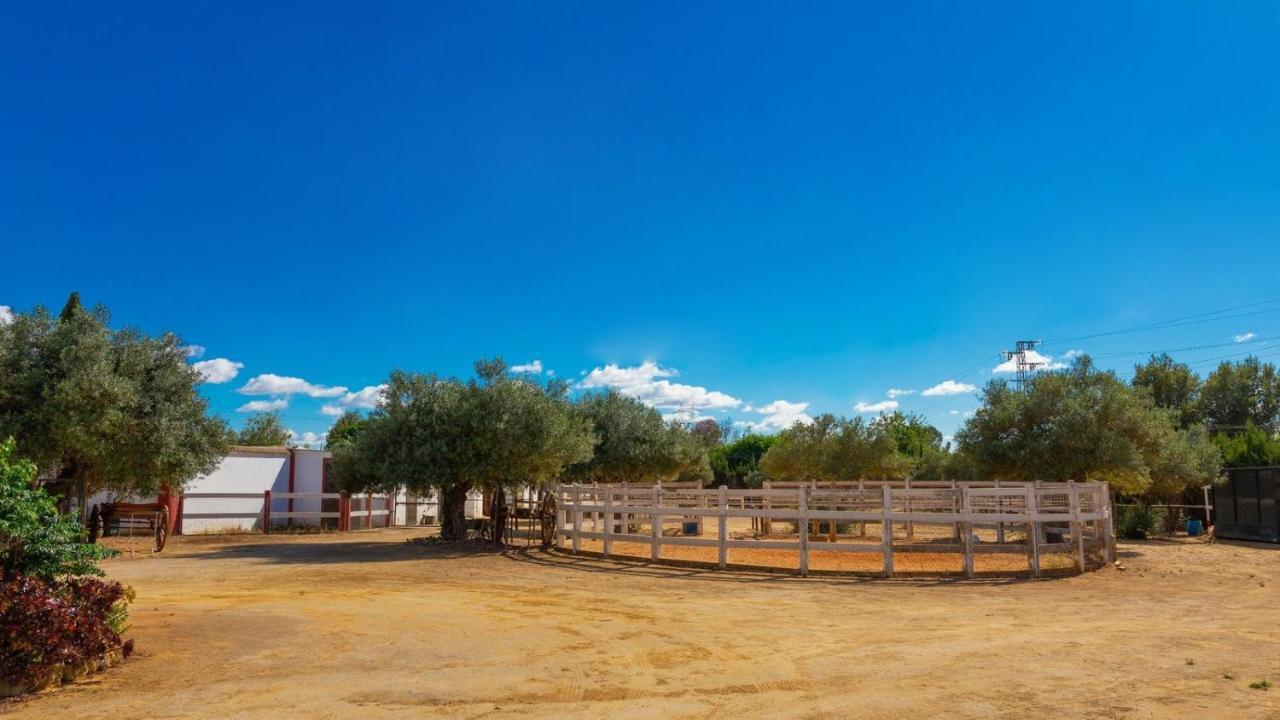 Finca La Canera Alcala De Guadaira By Ruralidays Exterior photo